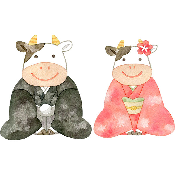 【2セット】羽織袴と着物を着た牛のイラスト
