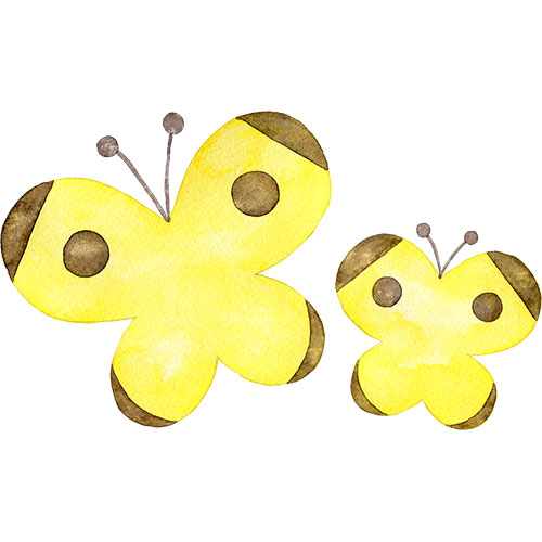 親子の蝶々(モンキチョウ)のイラスト