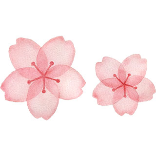 桜の花の水彩イラスト | 水彩の挿し絵屋さん