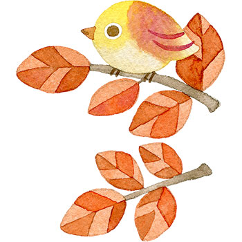 紅葉した木の枝にとまる鳥の水彩イラスト | 水彩の挿し絵屋さん