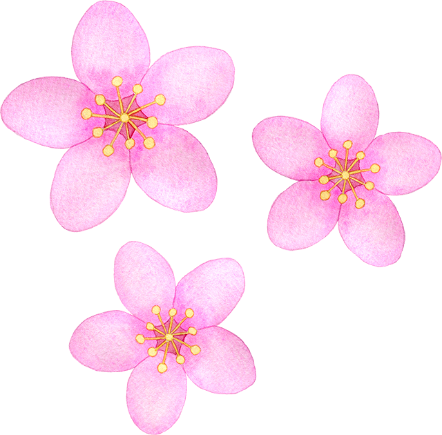 №515一重咲きの桃の花のイラスト