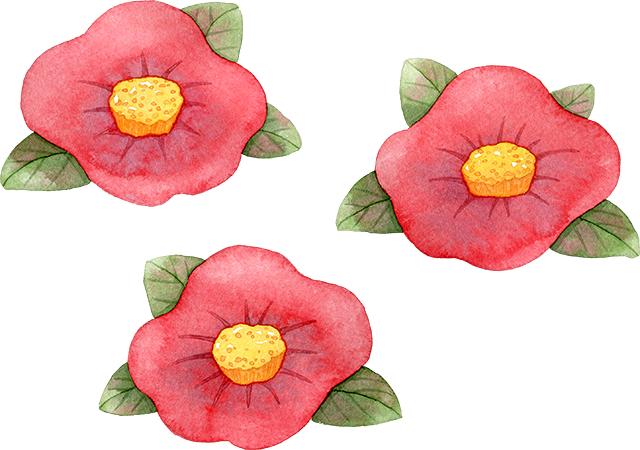 №619赤い椿の花のイラスト