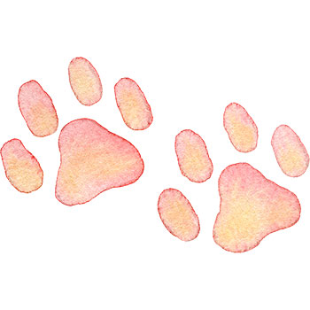 犬の足跡(ピンク)のイラスト