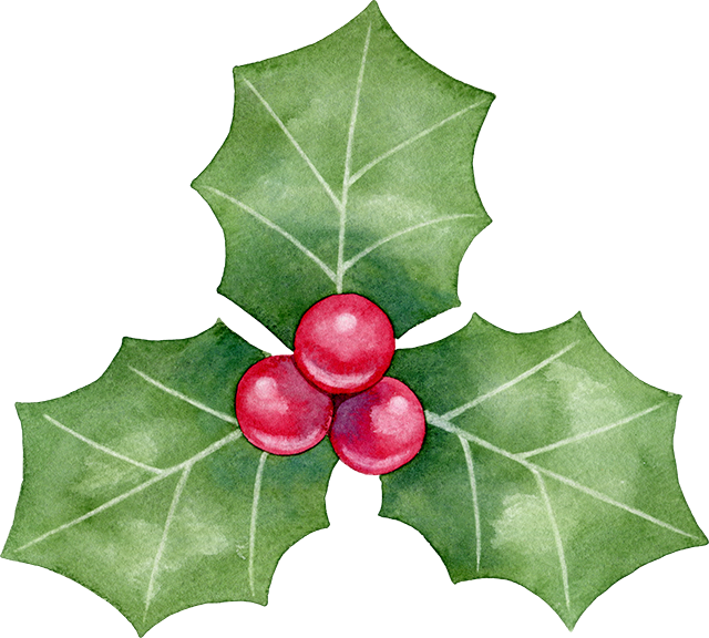 №595【クリスマス】葉っぱが3枚付いた西洋柊(ヒイラギ)のイラスト