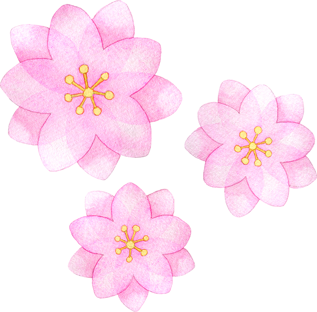 №514八重咲きの桃の花のイラスト