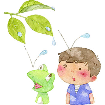 雨粒を頭に受ける男の子とカエルのイラスト