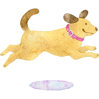 ジャンプをする犬のイラスト